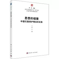 音像思想的碰撞 中国石窟保护理念的发展吕宁