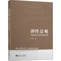 音像弹景观 风暴潮适应景观基础设施冯璐