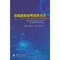 音像压缩感知信号采样方法陈鹏//施岳军//王成//郑倩