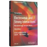 音像弱电与强相互作用(现象学概念和模型第3版)(英文版)(德)舍克