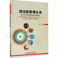 音像透过财报观企业 提高基本财务报表的分析能力苏波