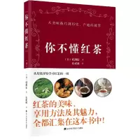 音像你不懂红茶矶渊猛