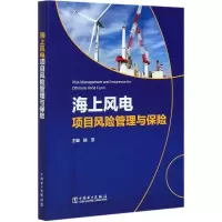 音像海上风电项目风险管理与保险电投集团有限公司
