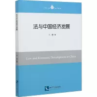 音像法与中国经济发展王俊