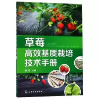 音像草莓高效基质栽培技术手册路河