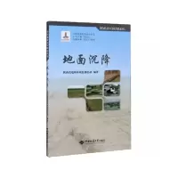 音像地面沉降陕西省地质环境监测总站,范立民,贺卫中 等 编
