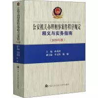 音像机关刑事案件程序规定释义与实务指南(2020年版)作者