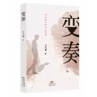 音像变奏王大进