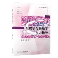 音像组织学与胚胎学实习指导张兵