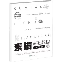 音像素描基础教程 入门篇 视频跟学版艺林