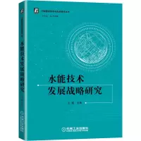 音像水能技术发展战略研究不详