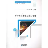 音像会计信息系统原理与实验杨婧 王春梅