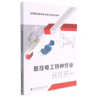 音像低压电工特种作业(高等职业教育机电类专业系列教材)杨立平