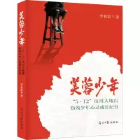 音像芙蓉少年 