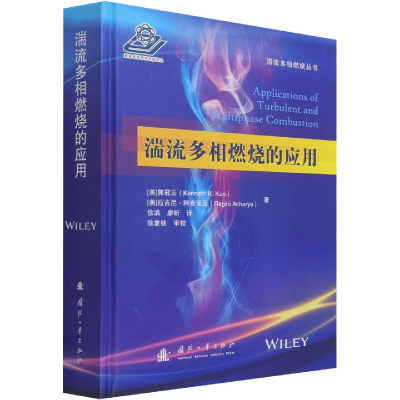 音像湍流多相燃烧的应用(精)/湍流多相燃烧丛书