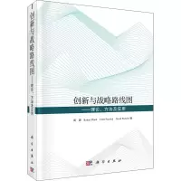 音像创新与战略路线图——理论、方法及应用周源 等
