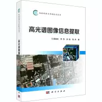 音像高光谱图像信息提取高连如 等