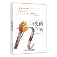 音像历史的兴衰/图像里的中国王海晨