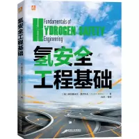 音像氢安全工程基础[英]弗拉基米尔·莫尔科夫 著
