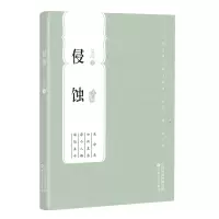音像侵蚀(百花中篇小说丛书)梁鸿