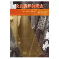 音像文化批评的观念/现代研究译丛沃林