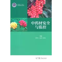 音像材安全与监控郭巧生 王建华 朱再标