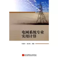 音像电网系统专业实用计算朱英杰,张志艳 著