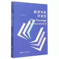 音像翻译中的异质过婧