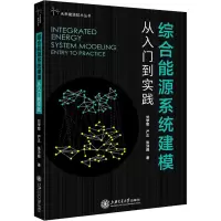 音像综合能源系统建模 从入门到实践刘学智,严正,张沛超