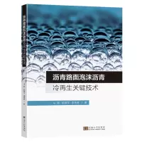 音像沥青路面泡沫沥青冷关键技术马涛,陈思宇,李秀君