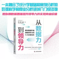 音像从数据力到领导力[英]迈克·布根贝(Mike Bugembe)