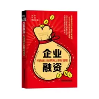 音像企业融资(从商业计划书到上市后管理)吴锐