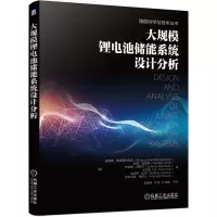 音像大规模锂电池储能系统设计分析/储能科学与技术丛书