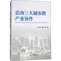 音像沿海三大城市群产业协作安树伟,郁鹏 等