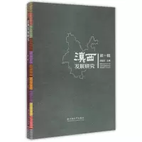 音像滇西发展研究杨临宏
