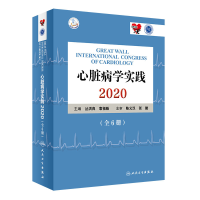 音像心脏病学实践2020(全6册/配增值)丛洪良