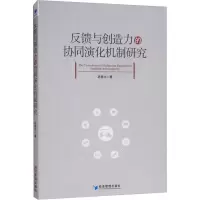 音像反馈与创造力的协同演化机制研究巩振兴