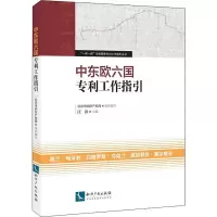 音像中东欧六国专利工作指引汪洪