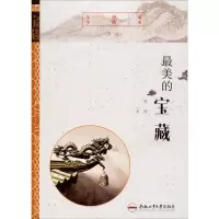 音像的宝藏(第2版)周迪