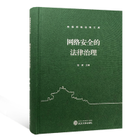 音像网络安全的法律治理(精)/珞珈网络治理文库袁康