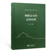 音像网络安全的法律治理(精)/珞珈网络治理文库袁康