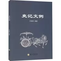 音像史记文例王建成