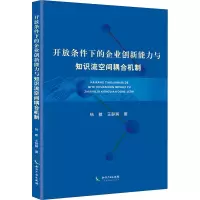 音像开放条件下的企业创新能力与知识流空间耦合机制杨敏,王静娴