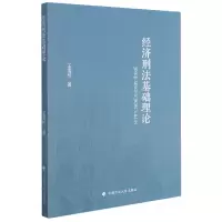 音像经济刑法基础理论王海桥 著