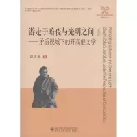音像游走于暗夜与光明之间——矛盾视域下的开高健文学胡学敏