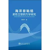 音像海洋非粘结柔立管的力学研究张新杰
