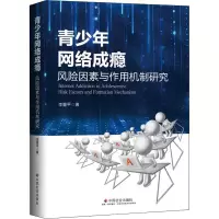 音像青少年网络成瘾 风险因素与作用机制研究李董平