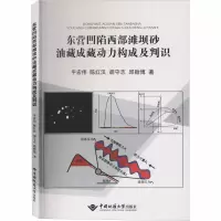 音像东营凹陷西部滩坝砂油藏成藏动力构成及判识平宏伟 等