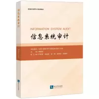 音像信息系统审计中国计算机用户协会政务信息化分会