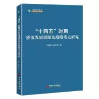 音像“十四五”时期能源发展思路及战略重点研究王仲颖 等